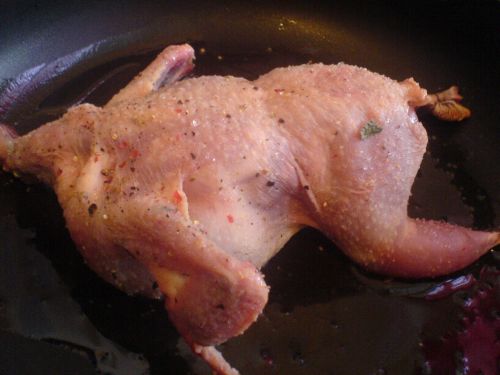 Kostenlos Bilder hochladen bei directupload.net